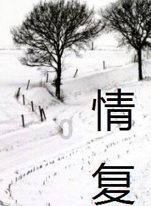 《幻兽帕鲁》商人类型及售卖商品介绍